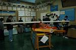 Dcim0354/Dsc_9545