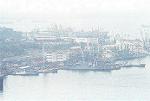 p0050029