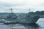p1390006