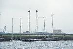p1393006
