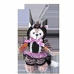 tds2014h_goods01_ph04.jpg