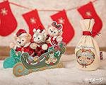 tds_2016xmas_gds21_md_pic03