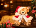 tds_2021_10_img_steiff_kv.jpg