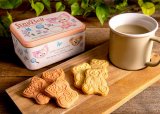 tds_2022rb_img_goods_04.jpg