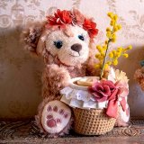tds_2023_cof_6389a15667fef_3.jpg