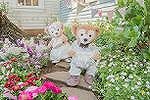 tds_blog_25b2916b5c49db617f52fa5ea48efee75
