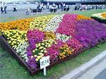 04MAY-05