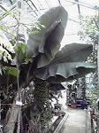 P1000100