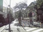 P1000262