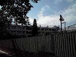 P1000263