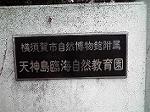 P1001578