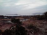 P1001592