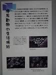P1001643