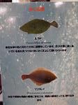 P1001919