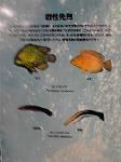 P1001921