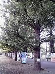P1001977