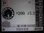P1010088