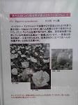 P1012415