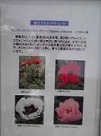 P1012421