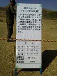 P1000707