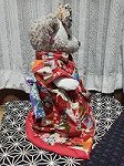 P1000842