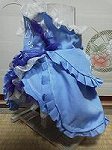 P1001604