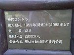 P1002585