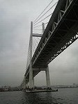 P1003032