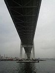 P1003033