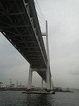 P1003034