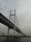 P1003036