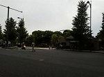 P1007147