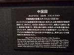 P1007589