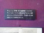 P1007620