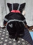 P1007958