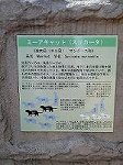 P1008115