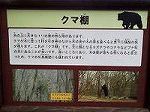 P1008121
