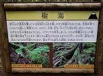 P1008130