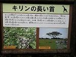 P1008140