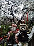 P1001018