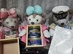 2016062416370000.JPG
