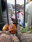 P1002056