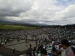 P1003311