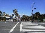 P1005589