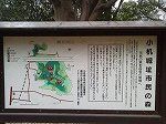 P1015694