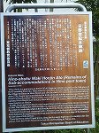 P1016591