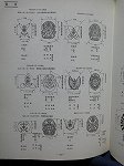 P1017152