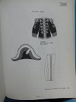 P1017191
