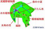 Pict_1387a