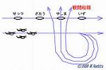 Pict_1464a